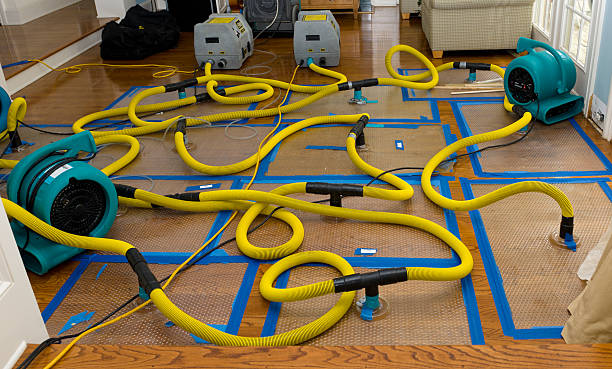 Professional Basement Flood Cleanup technician working in Cal Nev Ari, NV